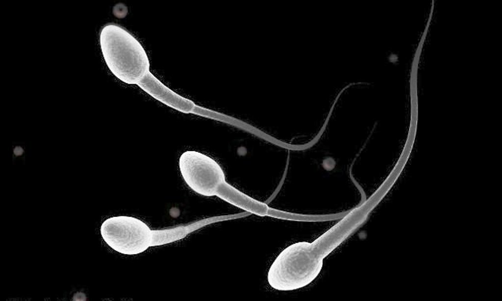 Compilation echange sperme